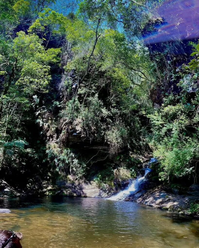 Cachoeira da Esmeralda Luminárias Galeria 2