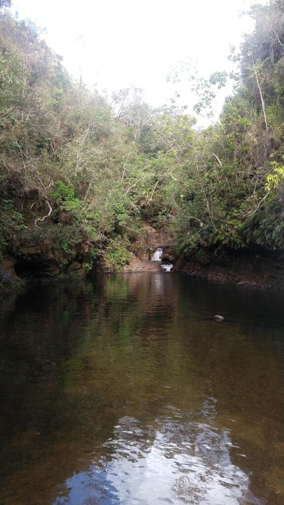 Cachoeira do Lobo em Luminárias, com poço calmo cercado por mata nativa.