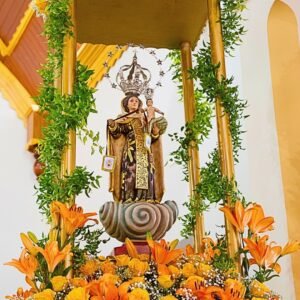 Imagem de Nosso Senhora do Carmo tombada pela Prefeitura Municipal de Luminárias em 2006.