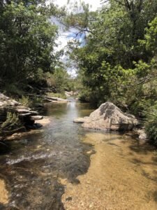 Cachoeira das Bromélias, em Luminárias, MG — vegetação ao redor.