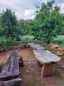 Jardim do Sítio Tabatinga, um espaço verde perfeito para relaxar e apreciar a natureza ao redor.